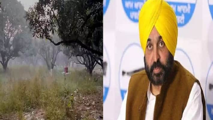 explosive found near pujab cm bhagwant manns residence in chandigarh explosive found near pujab cm bhagwant manns residence in chandigarh