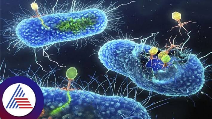 Superbug will become the second biggest threat after Corona in 2023 Vin Superbug will become the second biggest threat after Corona in 2023 Vin
