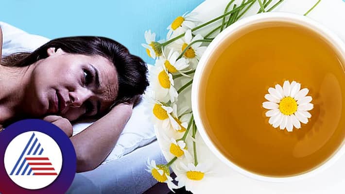 This Tea Will Drive Away Stress And Laziness This Tea Will Drive Away Stress And Laziness