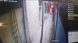 Shocking Delhi crime on CCTV: Girl stabbed six times for breaking friendship