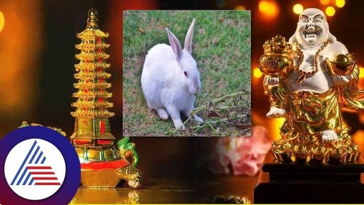 chinese new year horoscope chinese new year horoscope