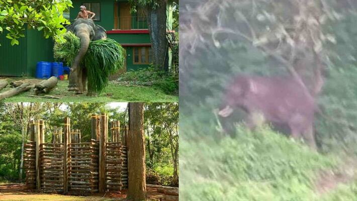 mission team will arrive tomorrow to catch pt7 mission team will arrive tomorrow to catch pt7