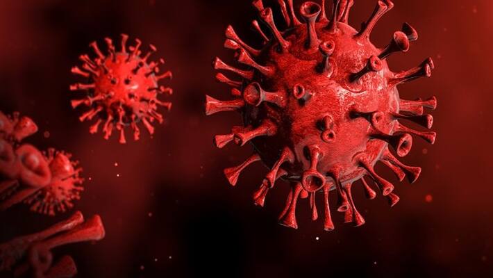 XBB 1 5 more likely to infect the vaccinated or those who have had covid 19 study XBB 1 5 more likely to infect the vaccinated or those who have had covid 19 study
