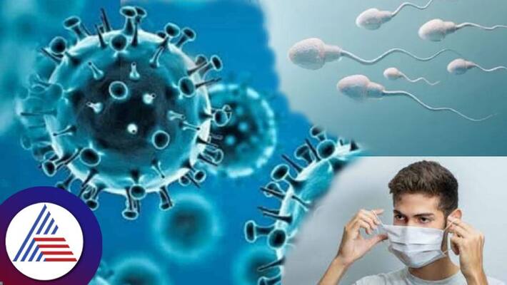 Covid infection may impact Semen quality in men, AIIMS study Vin Covid infection may impact Semen quality in men, AIIMS study Vin
