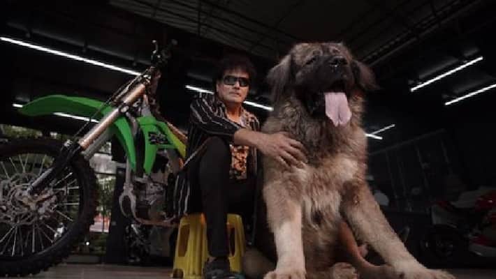 Bengaluru man brought worlds costliest dog Caucasian Shepherd for 20 crore akb Bengaluru man brought worlds costliest dog Caucasian Shepherd for 20 crore akb