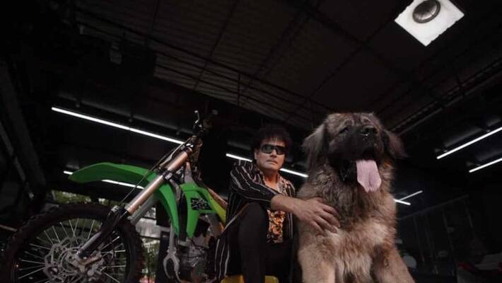 Bengaluru Man Spends Rs 20 Crore Buying a Caucasian Shepherd dog, nicknames it Cadabom Hayder Bengaluru Man Spends Rs 20 Crore Buying a Caucasian Shepherd dog, nicknames it Cadabom Hayder