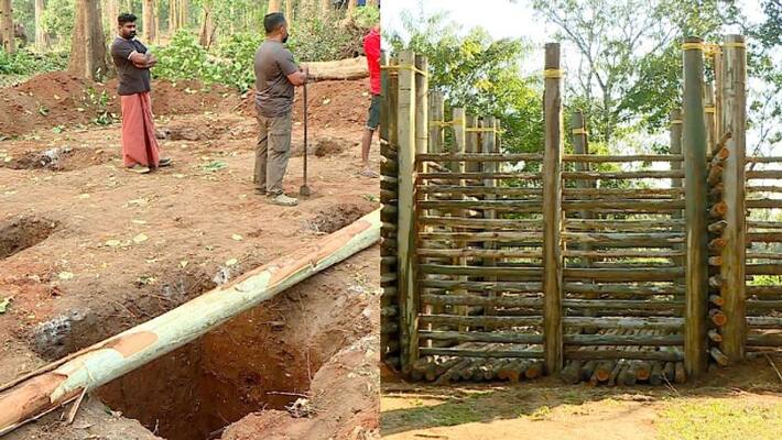 Eucalyptus tree wood used for constructing cage for P T 7 Eucalyptus tree wood used for constructing cage for P T 7