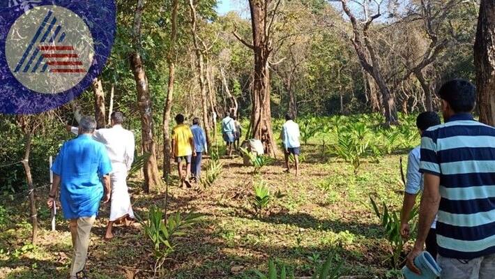Cutting of trees Struggle rages among villagers at soraba shivamogga rav Cutting of trees Struggle rages among villagers at soraba shivamogga rav