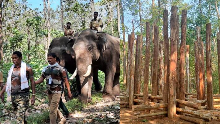 Task force trying to Trap PT Seven wild elephant in Palakkad Task force trying to Trap PT Seven wild elephant in Palakkad