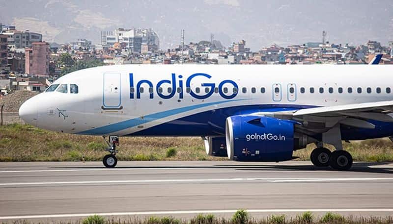 IndiGo passenger requests an open flight window to spit Gutka, and her reaction goes viral.