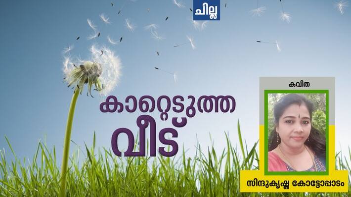 chilla malayalam poem by Sindu Krishna chilla malayalam poem by Sindu Krishna