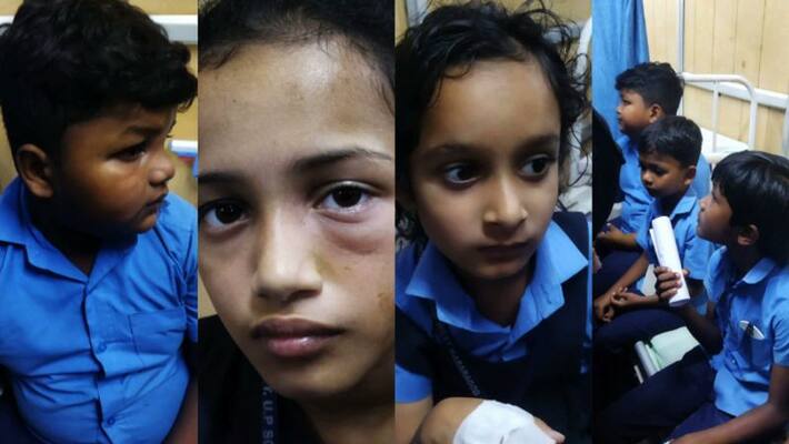 Students travelling in auto attacked by wasp Students travelling in auto attacked by wasp