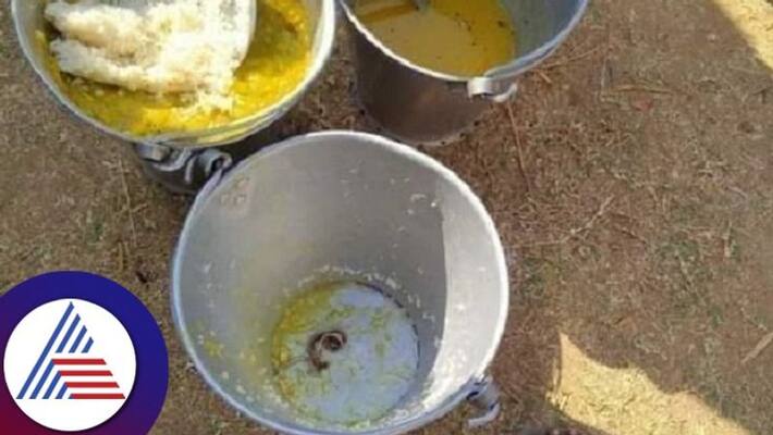 snake found in mid day meal in west bengal several children fall ill ash snake found in mid day meal in west bengal several children fall ill ash