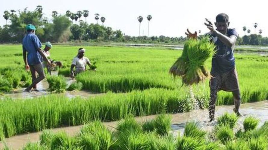 37 thousand farmers in the district do not have PM Kisan Fund snr 37 thousand farmers in the district do not have PM Kisan Fund snr