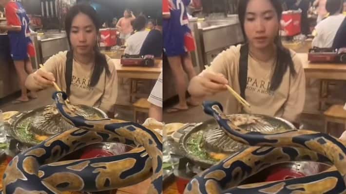 two sisters eating dinner with Python watch viral video akb two sisters eating dinner with Python watch viral video akb
