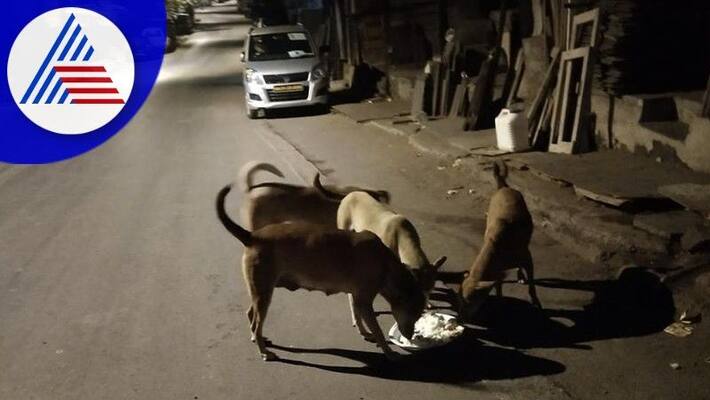 Stray dogs biting a beggar to death at dharwad rav Stray dogs biting a beggar to death at dharwad rav