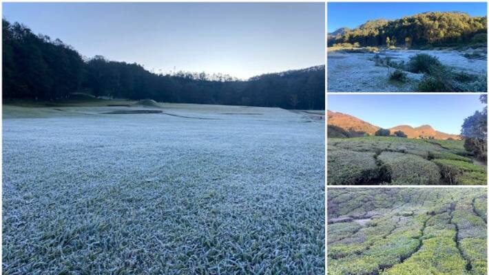 extreme cold in Munnar extreme cold in Munnar