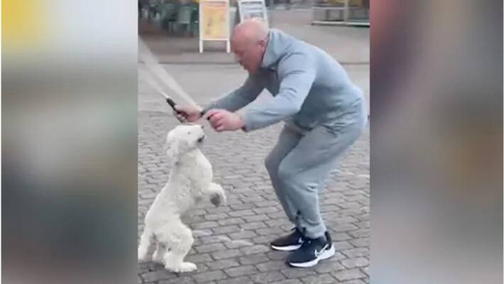 Video Of Dog With World Record For Most Skips On Hind Legs Goes Viral Video Of Dog With World Record For Most Skips On Hind Legs Goes Viral