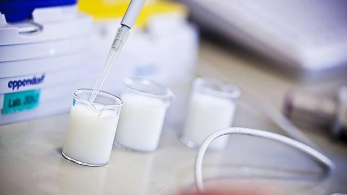 found hydrogen per oxide in sabari milk found hydrogen per oxide in sabari milk