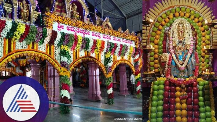 Amriteshwari Devi the mother of many children is a grand festival celebration sat Amriteshwari Devi the mother of many children is a grand festival celebration sat