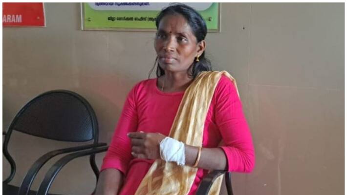 forest department was unable to ascertain whether the woman was attacked by a crocodile or an alligator forest department was unable to ascertain whether the woman was attacked by a crocodile or an alligator