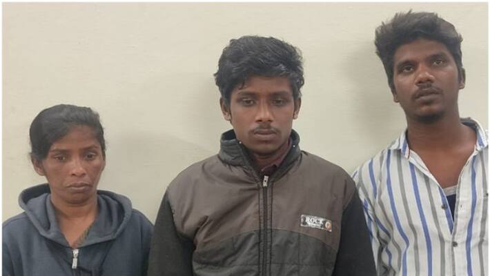 mother and son were sentenced to four years in prison in theft case mother and son were sentenced to four years in prison in theft case