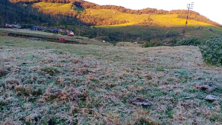 Weather drops below zero degree in Munnar Weather drops below zero degree in Munnar