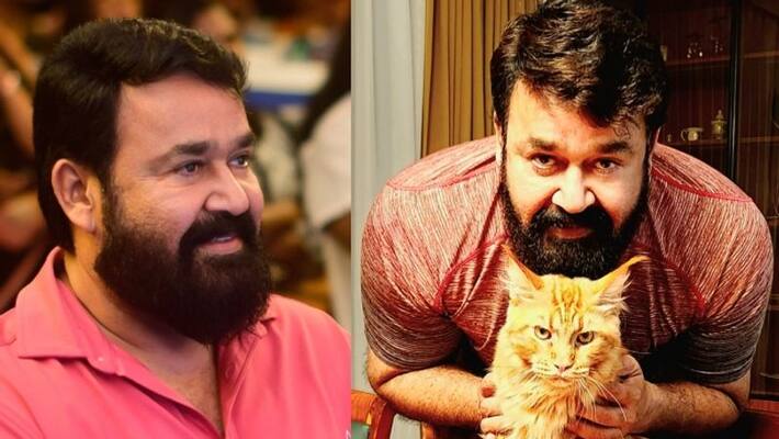 mohanlal shares pic with his cat simba mohanlal shares pic with his cat simba