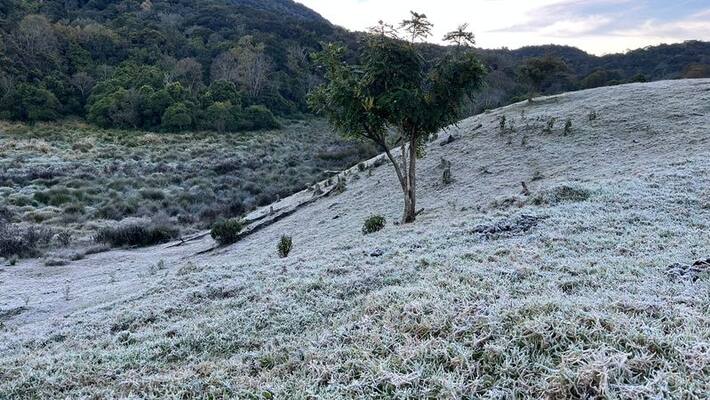 Kerala : Heavy snow inundated Munnar: Tourists' joy, tea plantations worried Kerala : Heavy snow inundated Munnar: Tourists' joy, tea plantations worried