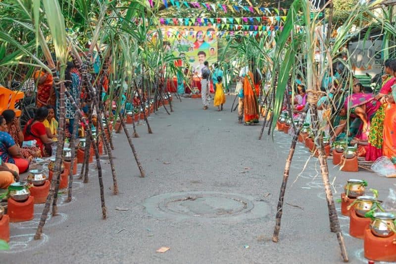 auspicious time to make thai pongal in tamil nadu how to make pongal direction how to worship