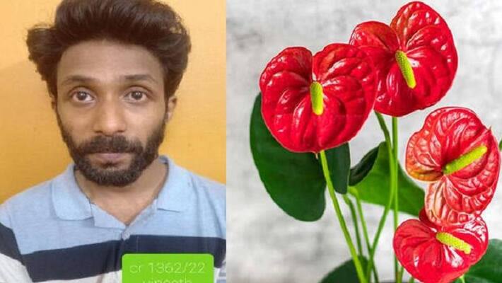 Police arrests Vineeth Cletus accused of stealing anthurium plants after disguising himself as woman san Police arrests Vineeth Cletus accused of stealing anthurium plants after disguising himself as woman san