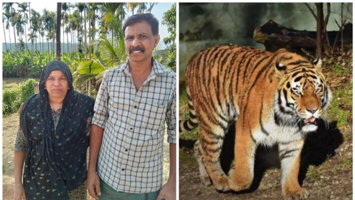 reaction of moithu who escaped from the tiger in wayanad reaction of moithu who escaped from the tiger in wayanad