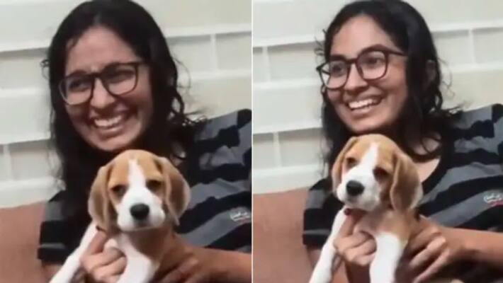 Adorable Video Of A Dog Vibing To Classical Music Adorable Video Of A Dog Vibing To Classical Music