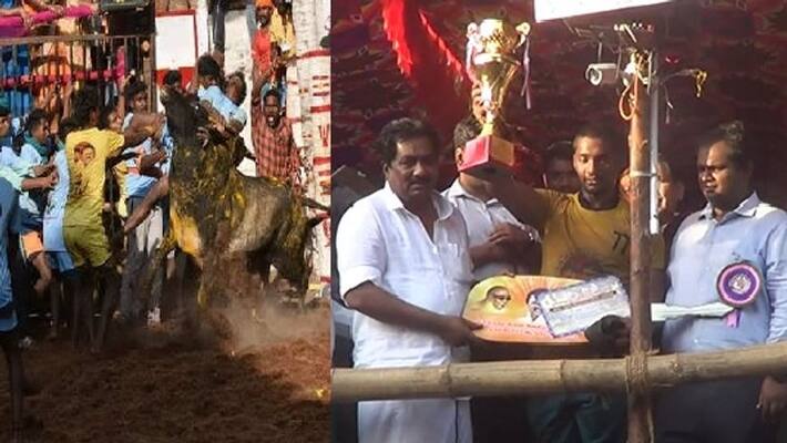 First prize for Vijay who tamed 28 bulls in Avaniyapuram Jallikattu Completion First prize for Vijay who tamed 28 bulls in Avaniyapuram Jallikattu Completion