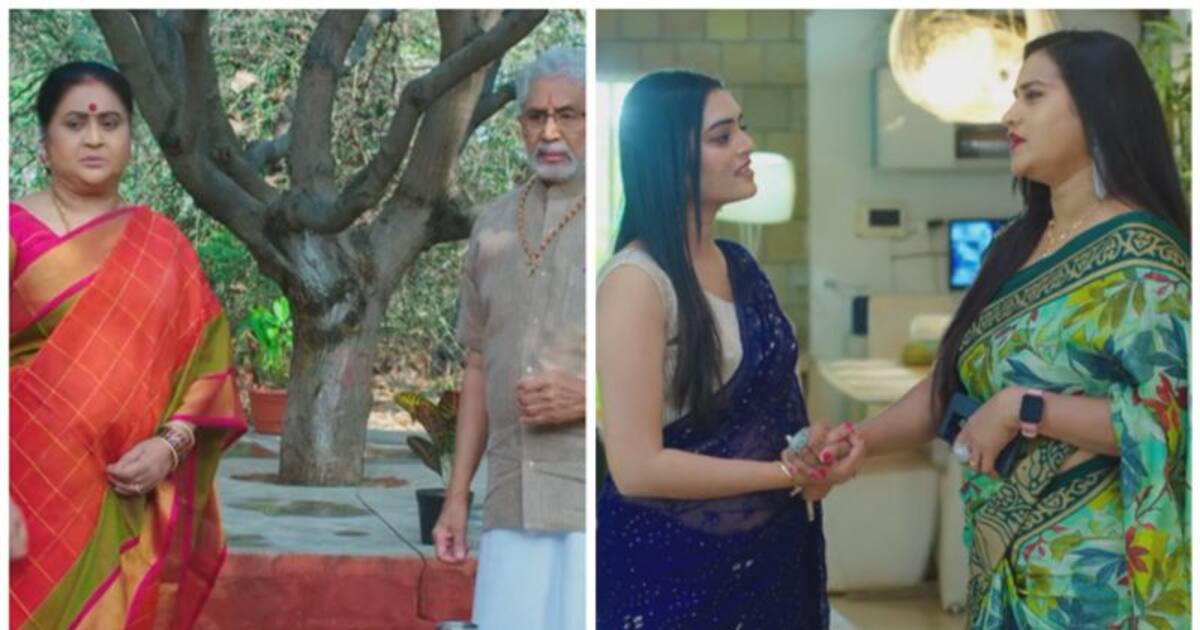 Ennenno Janmala Bandham: వేద, యష్ ల గురించి బాధపడుతున్న రాజారాణి ...