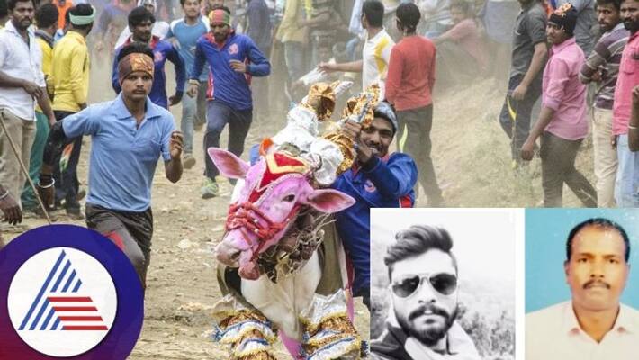 Shivamogga Bull Bullying Competition Two killed by bull poking sat Shivamogga Bull Bullying Competition Two killed by bull poking sat