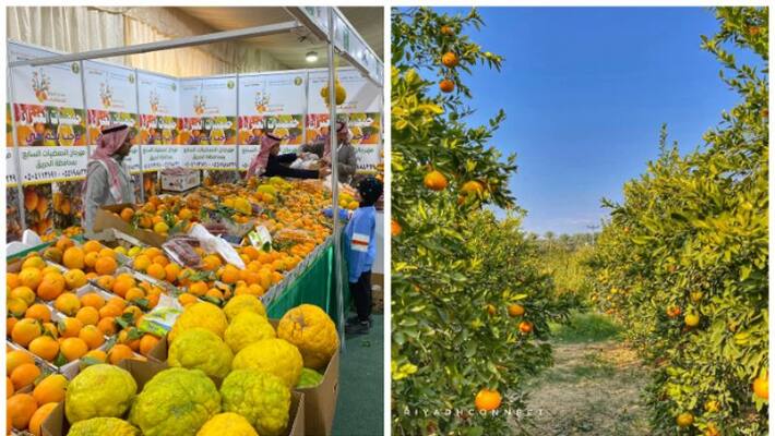 Orange festival at Hareeq Saudi Arabia till Wednesday Orange festival at Hareeq Saudi Arabia till Wednesday