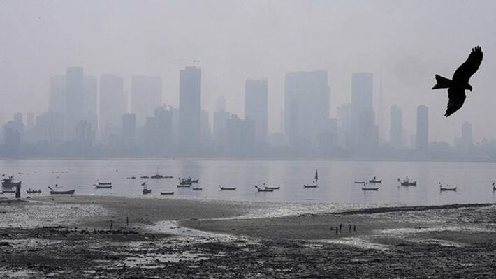 Mumbai to record coldest weather as temperature likely to drop to 13 degree celsius today (december 16) - adt Mumbai to record coldest weather as temperature likely to drop to 13 degree celsius today (december 16) - adt
