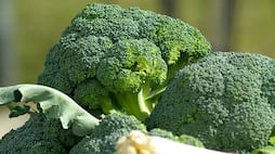 health benefits of eating broccoli daily -rse-