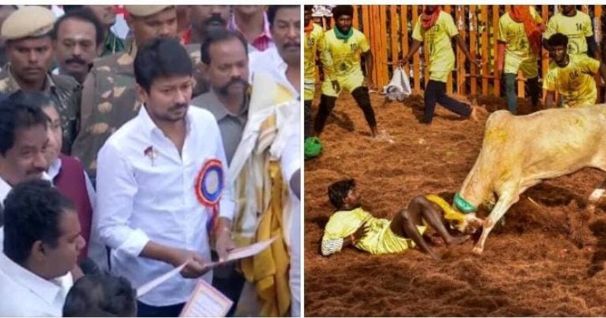 மதுரை அலங்காநல்லூர் ஜல்லிக்கட்டில் பார்வையாளர்களின் மீது போலீசார் தடியடி