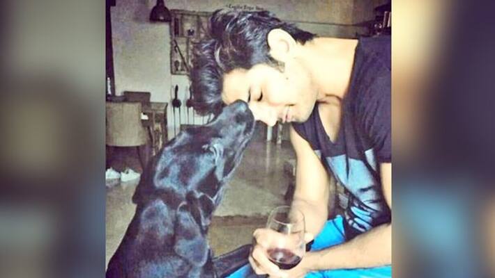 Sushant Singh Rajput's Pet Dog Fudge Dies Sushant Singh Rajput's Pet Dog Fudge Dies