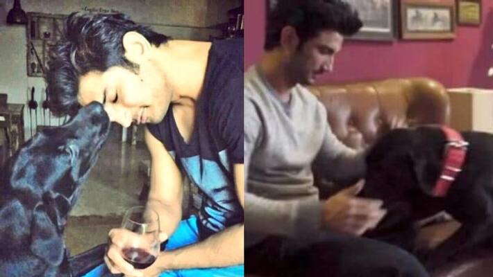 Sushant Singh Rajput pet dog Fudge dies and actor sister Priyanka says she is heartbroken sgk Sushant Singh Rajput pet dog Fudge dies and actor sister Priyanka says she is heartbroken sgk