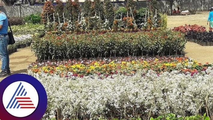 Chikkamagaluru Utsava more than 100 types of flower exhibition gow Chikkamagaluru Utsava more than 100 types of flower exhibition gow