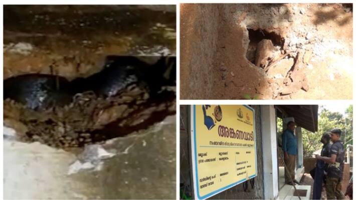 cobra in anganawadi at palakkad could not caught snake cobra in anganawadi at palakkad could not caught snake