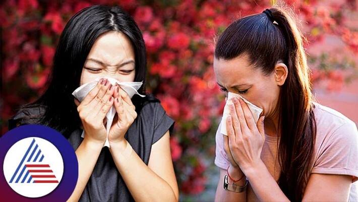 Why Sneeze Comes After Waking Up In The Morning Why Sneeze Comes After Waking Up In The Morning