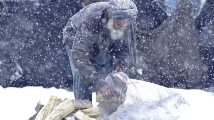 Kabul : Deadly cold in Afghanistan: 150 people died, 70 thousand cattle died Kabul : Deadly cold in Afghanistan: 150 people died, 70 thousand cattle died