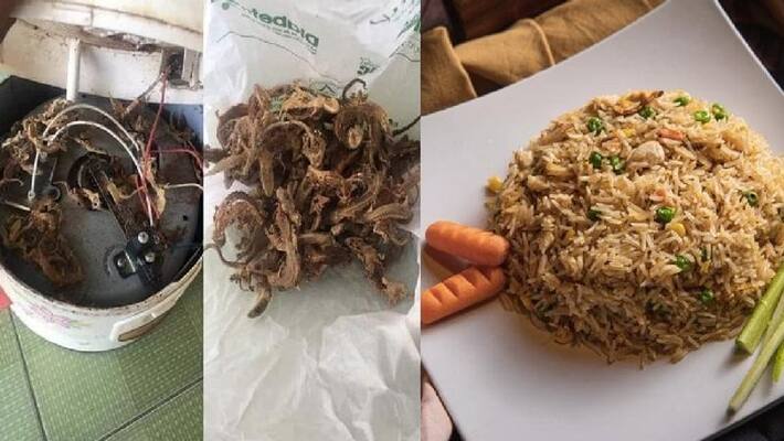 lizards found dead inside slow cooker lizards found dead inside slow cooker