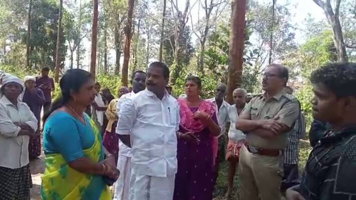 tiger attack against youth in wayanad tiger attack against youth in wayanad