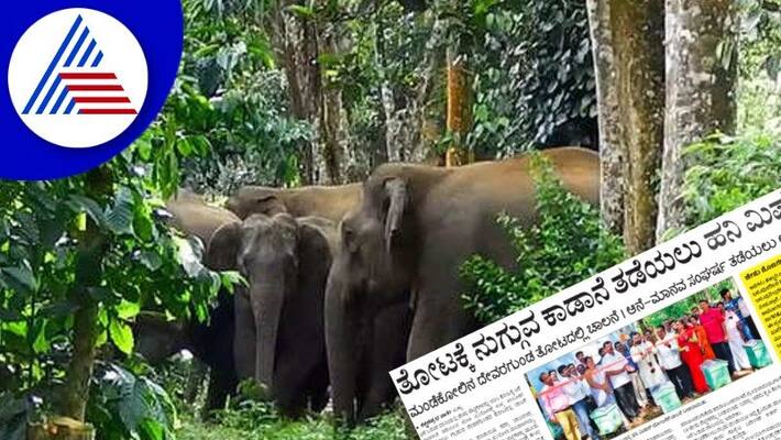 Honey mission to save plantation from wild elephants at sulya rav Honey mission to save plantation from wild elephants at sulya rav