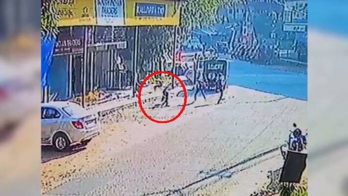 Stray dog attack in Kozhikode Stray dog attack in Kozhikode